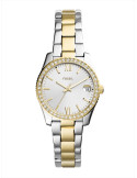 RELOJ MUJER FOSSIL SCARLETTE MINI THREE-HAND  ES4319