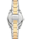 RELOJ MUJER FOSSIL SCARLETTE MINI THREE-HAND  ES4319