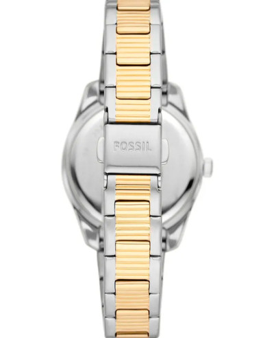 RELOJ MUJER FOSSIL SCARLETTE MINI THREE-HAND  ES4319