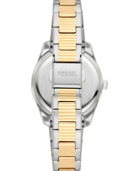 RELOJ MUJER FOSSIL SCARLETTE MINI THREE-HAND  ES4319