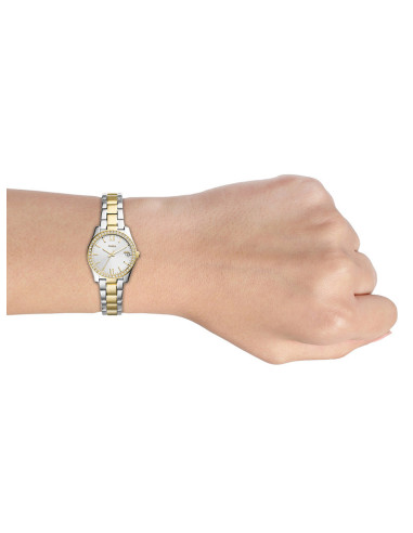 RELOJ MUJER FOSSIL SCARLETTE MINI THREE-HAND  ES4319