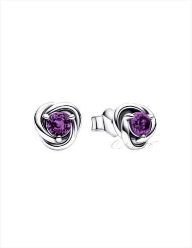 PENDIENTES DE BOTÓN PANDORA CÍRCULO ETERNITY FEBRERO 292334C02