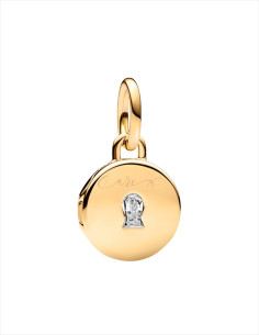 CHARM COLGANTE PANDORA MEDALLA GRABABLE QUE SE ABRE 763066C01