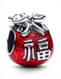 CHARM PANDORA BOLSA DE LA SURTE 793620C01