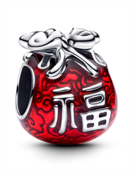 CHARM PANDORA BOLSA DE LA SURTE 793620C01