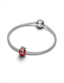 CHARM PANDORA BOLSA DE LA SURTE 793620C01