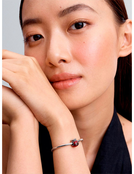 CHARM PANDORA BOLSA DE LA SURTE 793620C01