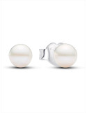 PENDIENTES DE BOTÓN PANDORA PERLA CULTIVADA DE AGUA DULCE 4.5 MM 293168C01